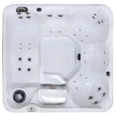 Hawaiian PZ-636L hot tubs for sale in Valencia